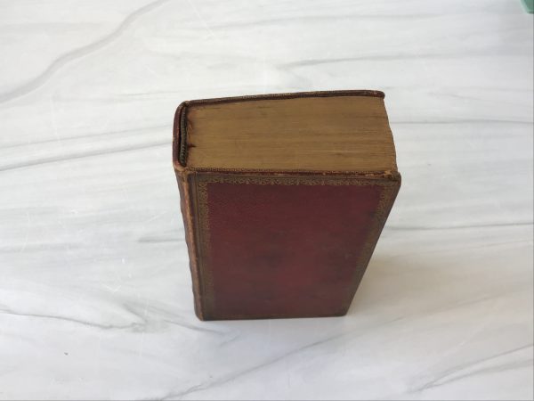 Welsh Bible Online Hot Sale