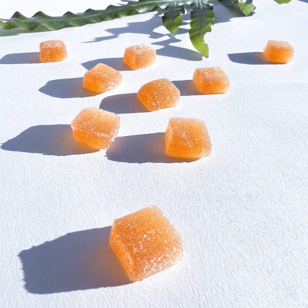 Concentrate 5-piece Mushroom Gummies | MicroJoy Online