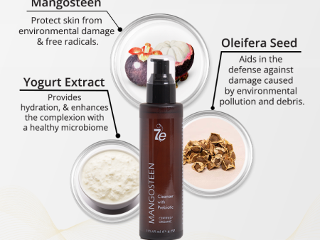 Mangosteen Cleanser Supply