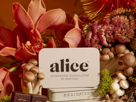 Brainstorm—Alice mushroom chocolates for focus Sale