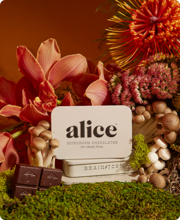 Brainstorm—Alice mushroom chocolates for focus Sale