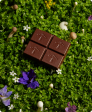 Nightcap — mushroom chocolates for deep sleep | Alice Cheap