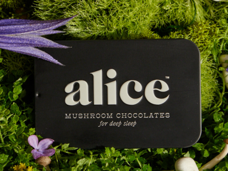 Nightcap — mushroom chocolates for deep sleep | Alice Cheap