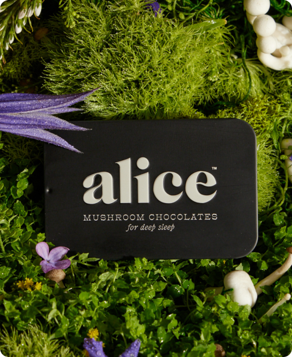 Nightcap — mushroom chocolates for deep sleep | Alice Cheap