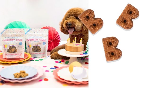 Bocce s Bakery Birthday Party Kit Discount