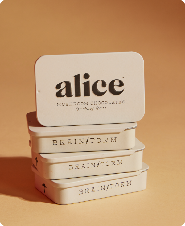 Brainstorm—Alice mushroom chocolates for focus Sale