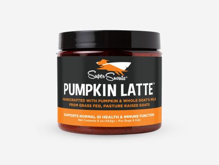 Super Snouts Pumpkin Latte Cheap