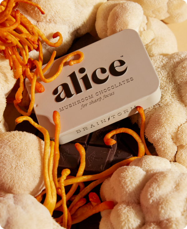 Brainstorm—Alice mushroom chocolates for focus Sale