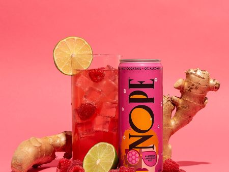 NOPE Beverages Raspberry Lime Ginger Beer Online