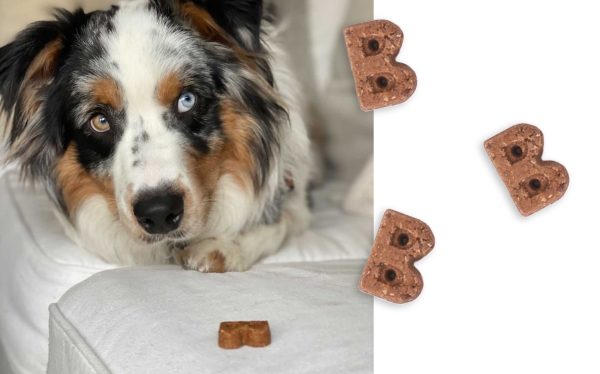 Bocce s Bakery Dailies Soft & Chewy Treats For Discount